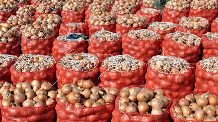 Bu yöntemler soğan doğrarken göz yaşarmasını engelliyor 4